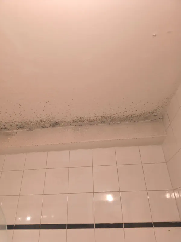 Angle de salle de bain envahi par les moisissures avant traitement